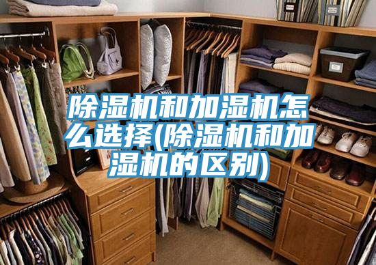 抖音成人版下载和加湿机怎么选择(抖音成人版下载和加湿机的区别)