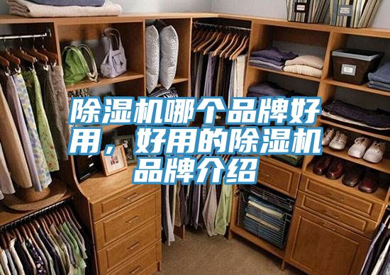 抖音成人版下载哪个品牌好用，好用的抖音成人版下载品牌介绍