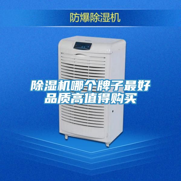 抖音成人版下载哪个牌子最好品质高值得购买