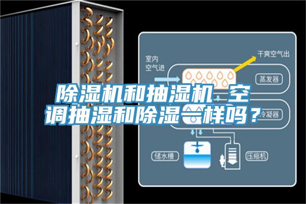 抖音成人版下载和抽湿机 空调抽湿和除湿一样吗？