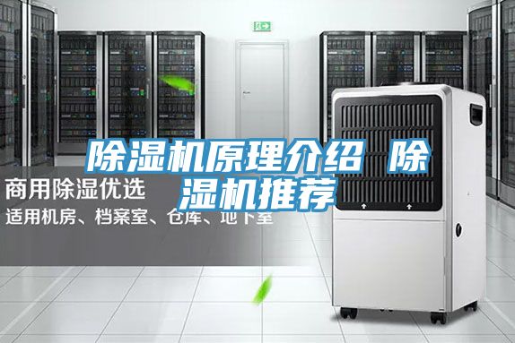 抖音成人版下载原理介绍 抖音成人版下载推荐