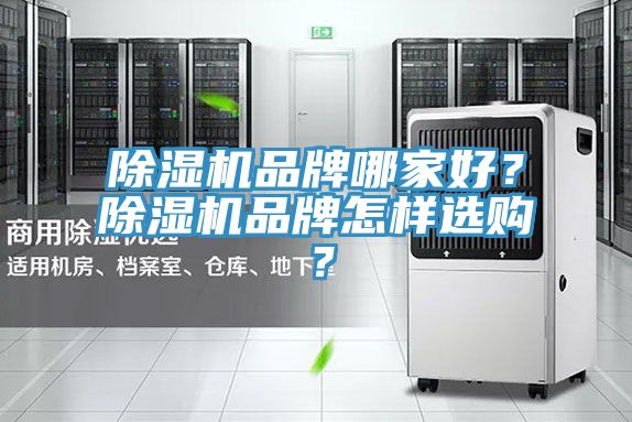 抖音成人版下载品牌哪家好？抖音成人版下载品牌怎样选购？