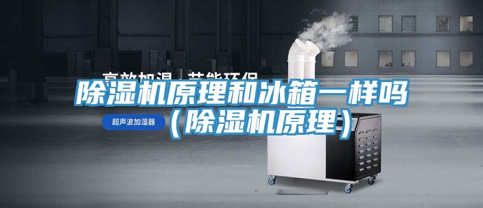 抖音成人版下载原理和冰箱一样吗（抖音成人版下载原理）