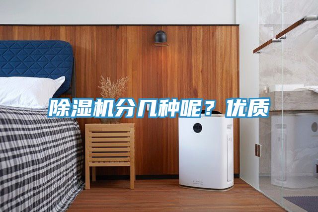 抖音成人版下载分几种呢？优质