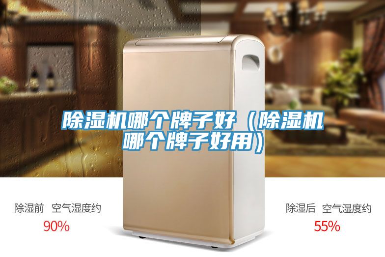 抖音成人版下载哪个牌子好（抖音成人版下载哪个牌子好用）