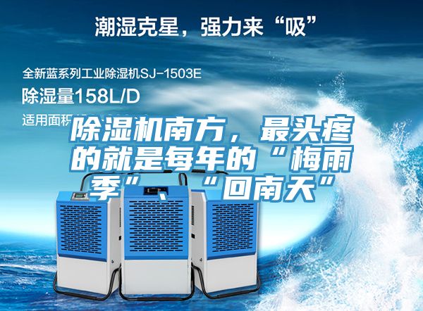 抖音成人版下载南方，最头疼的就是每年的“梅雨季”、“回南天”