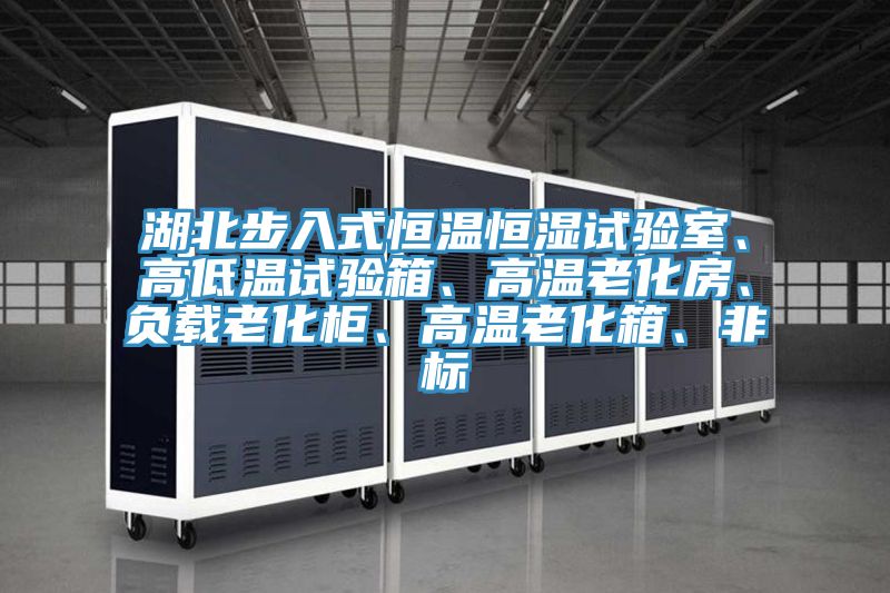 湖北步入式恒温恒湿试验室、高低温试验箱、高温老化房、负载老化柜、高温老化箱、非标