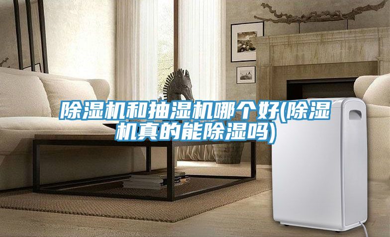 抖音成人版下载和抽湿机哪个好(抖音成人版下载真的能除湿吗)