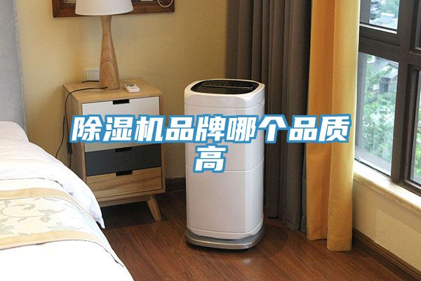 抖音成人版下载品牌哪个品质高