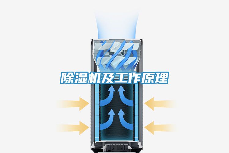 抖音成人版下载及工作原理