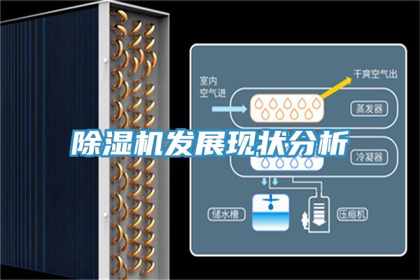 抖音成人版下载发展现状分析