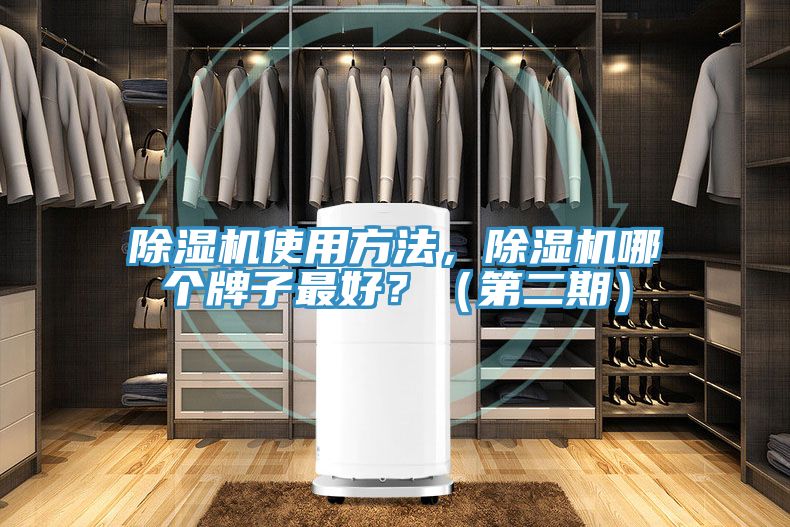 抖音成人版下载使用方法，抖音成人版下载哪个牌子最好？（第二期）