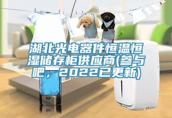 湖北光电器件恒温恒湿储存柜供应商(参与吧，2022已更新)
