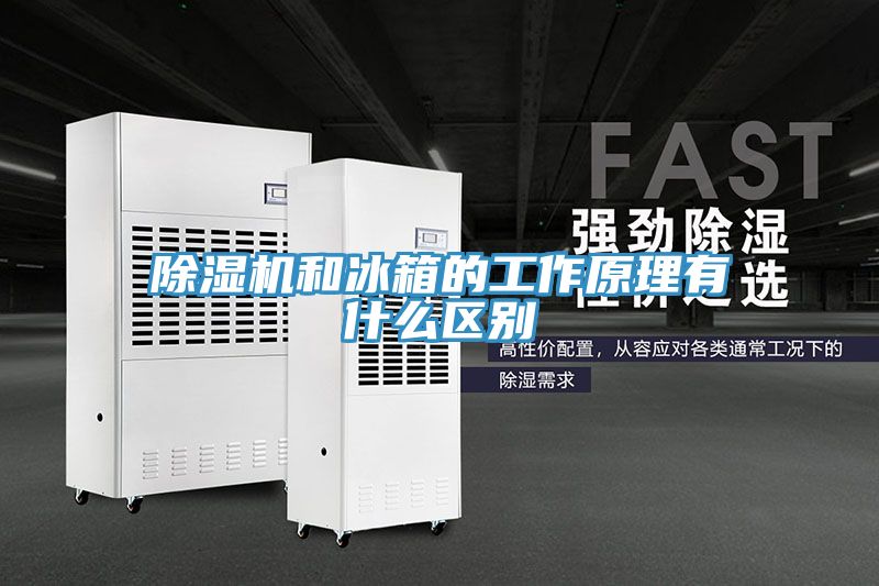 抖音成人版下载和冰箱的工作原理有什么区别