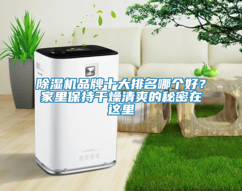 抖音成人版下载品牌十大排名哪个好？家里保持干燥清爽的秘密在这里