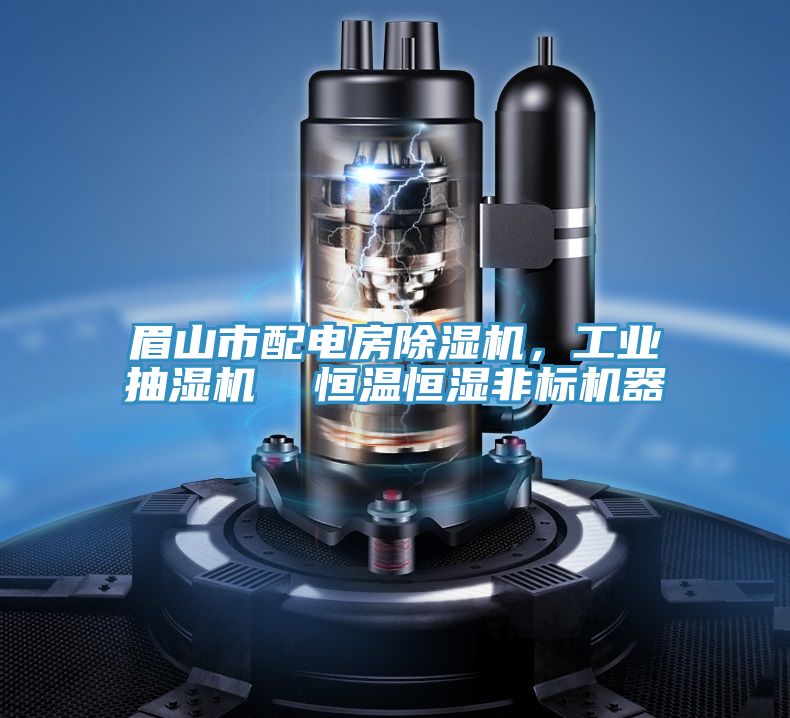 眉山市配电房抖音成人版下载，工业抽湿机  恒温恒湿非标机器