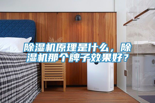 抖音成人版下载原理是什么，抖音成人版下载那个牌子效果好？