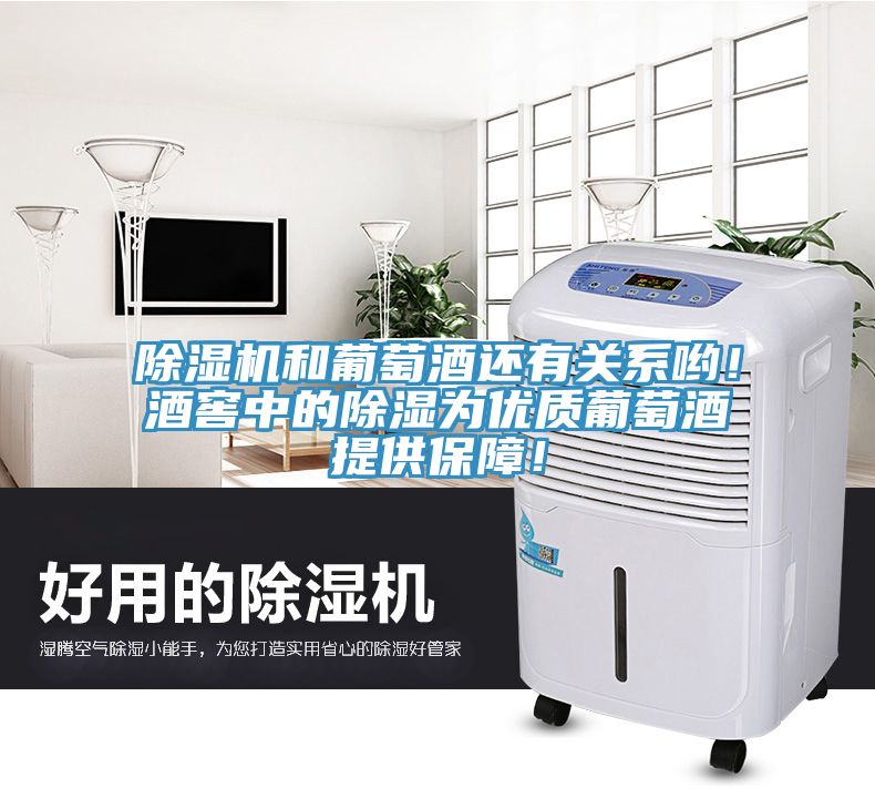 抖音成人版下载和葡萄酒还有关系哟！酒窖中的除湿为优质葡萄酒提供保障！