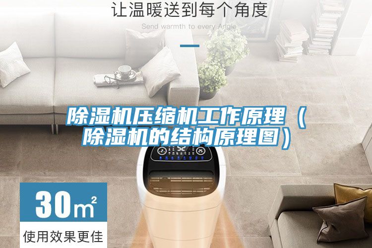 抖音成人版下载压缩机工作原理（抖音成人版下载的结构原理图）