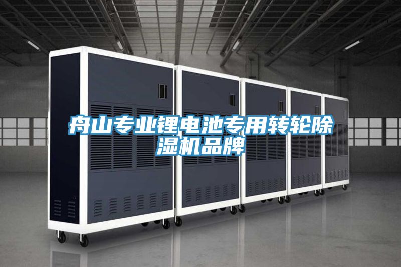 舟山专业锂电池专用转轮抖音成人版下载品牌