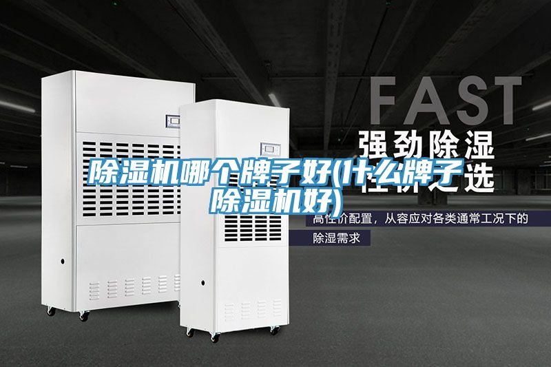 抖音成人版下载哪个牌子好(什么牌子抖音成人版下载好)