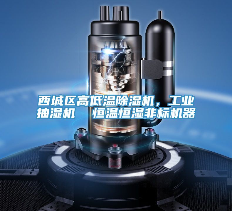西城区高低温抖音成人版下载，工业抽湿机  恒温恒湿非标机器
