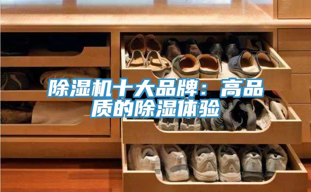 抖音成人版下载十大品牌：高品质的除湿体验