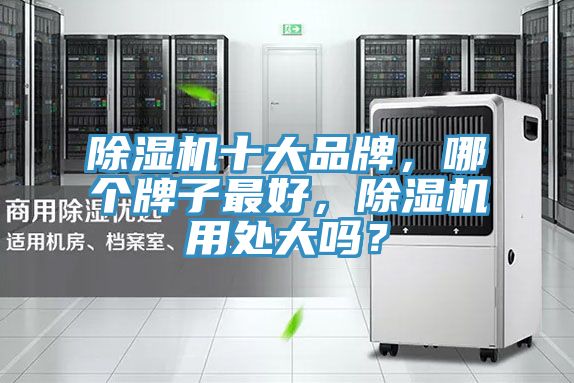 抖音成人版下载十大品牌，哪个牌子最好，抖音成人版下载用处大吗？