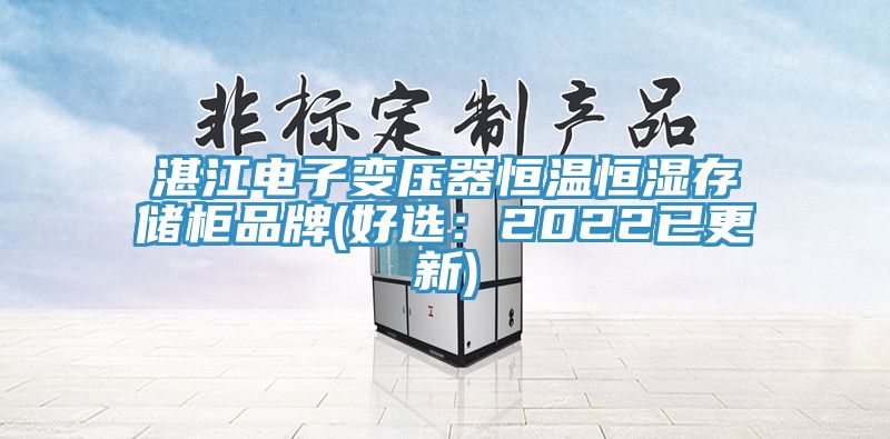 湛江电子变压器恒温恒湿存储柜品牌(好选：2022已更新)