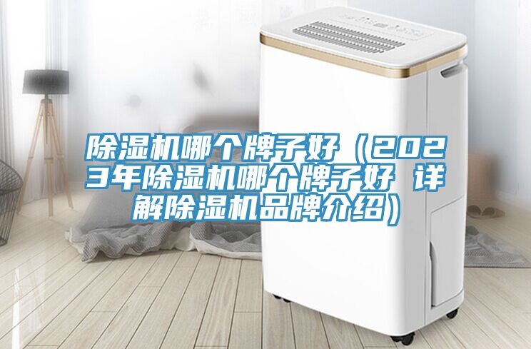 抖音成人版下载哪个牌子好（2023年抖音成人版下载哪个牌子好 详解抖音成人版下载品牌介绍）