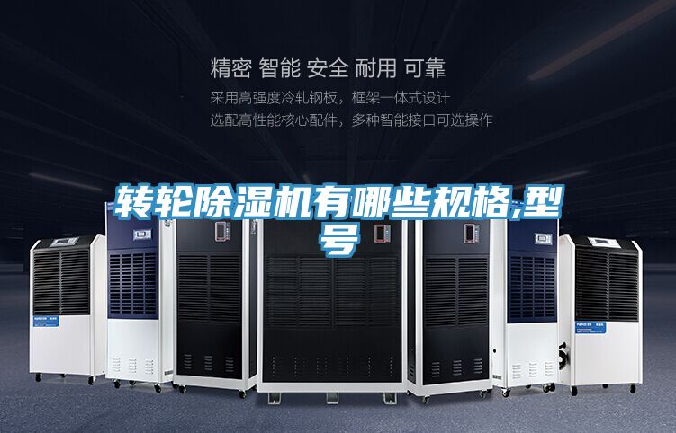 转轮抖音成人版下载有哪些规格,型号