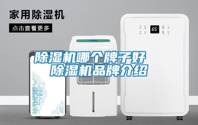 抖音成人版下载哪个牌子好  抖音成人版下载品牌介绍