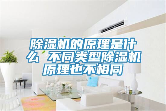 抖音成人版下载的原理是什么 不同类型抖音成人版下载原理也不相同