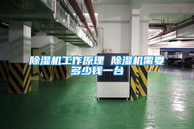 抖音成人版下载工作原理 抖音成人版下载需要多少钱一台