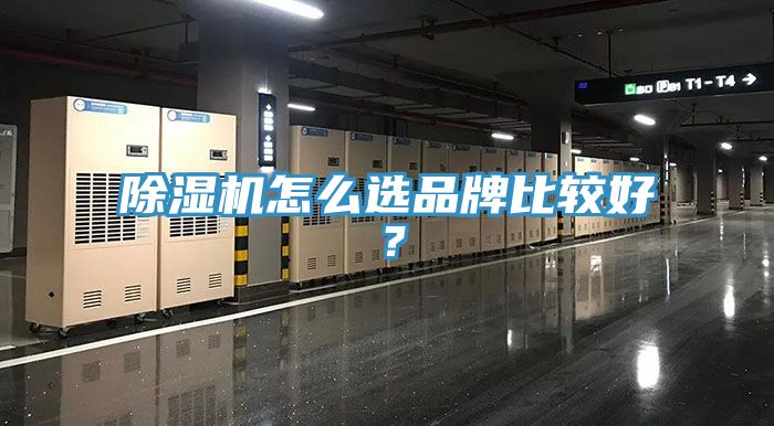 抖音成人版下载怎么选品牌比较好？