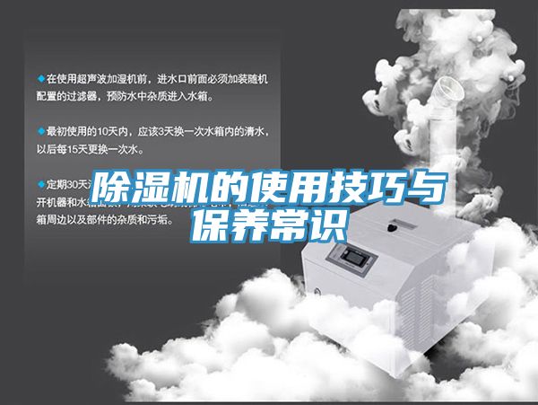 抖音成人版下载的使用技巧与保养常识