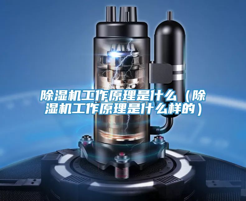 抖音成人版下载工作原理是什么（抖音成人版下载工作原理是什么样的）