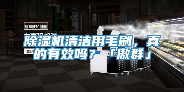 抖音成人版下载清洁用毛刷，真的有效吗？「傲群」