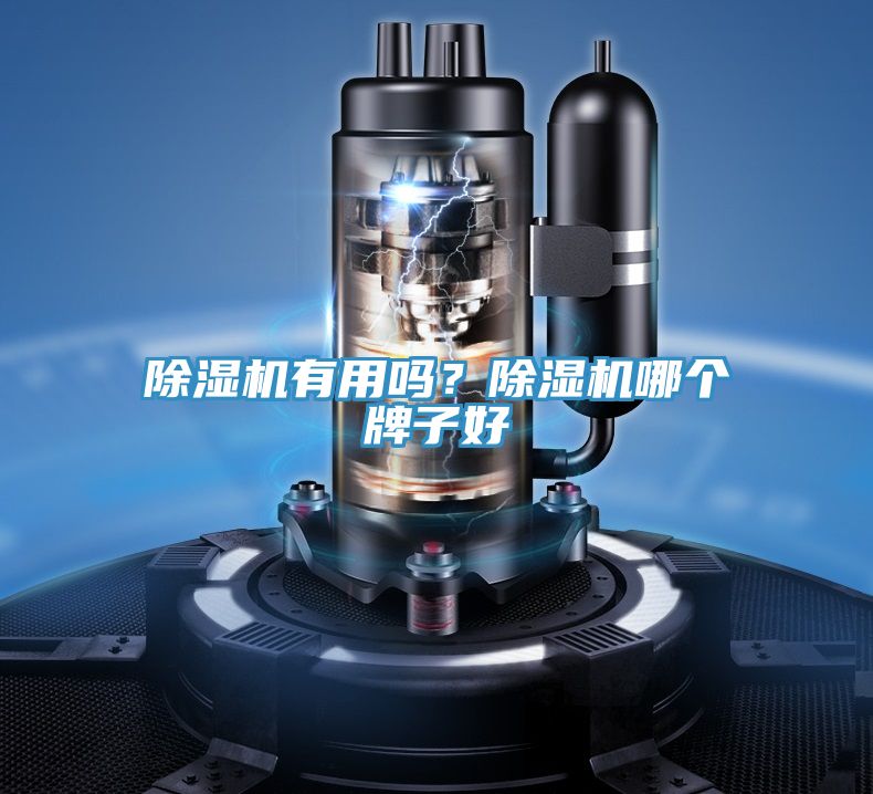 抖音成人版下载有用吗？抖音成人版下载哪个牌子好