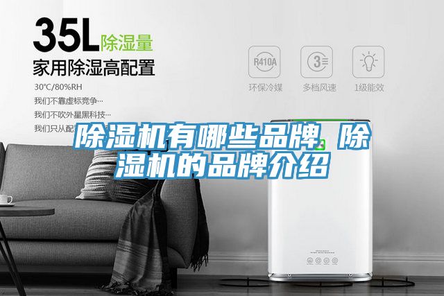 抖音成人版下载有哪些品牌 抖音成人版下载的品牌介绍