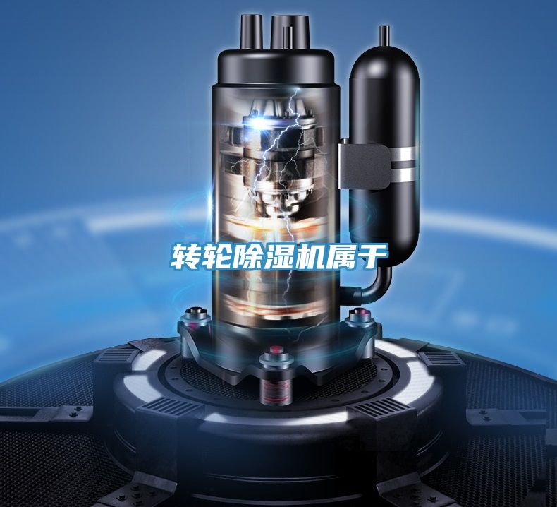 转轮抖音成人版下载属于