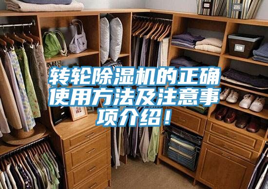 转轮抖音成人版下载的正确使用方法及注意事项介绍！