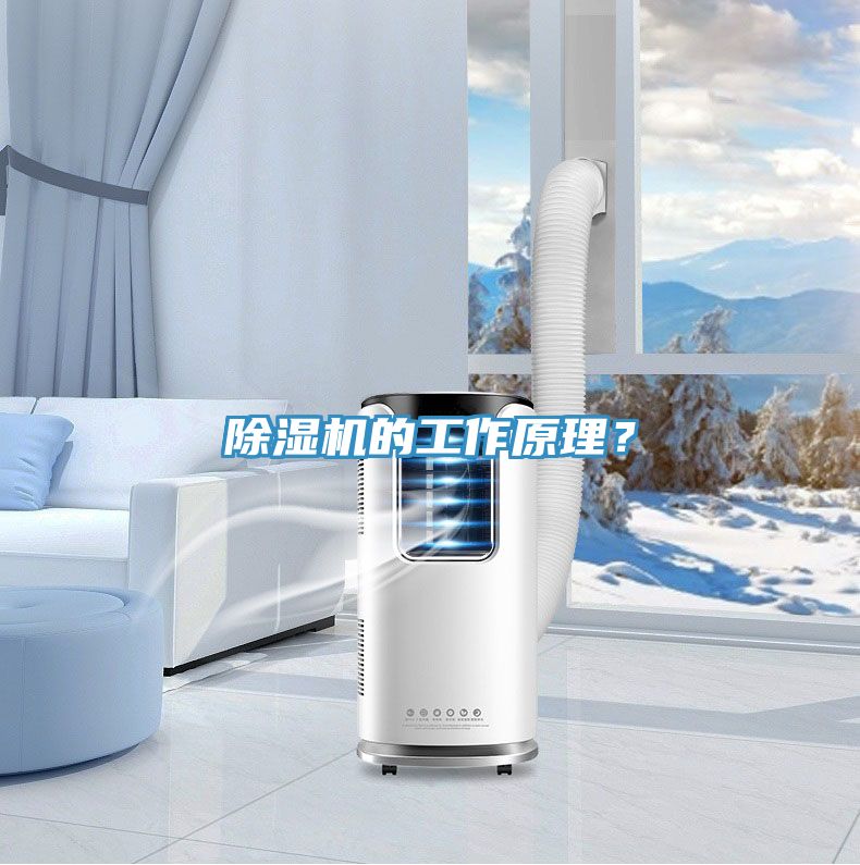 抖音成人版下载的工作原理？