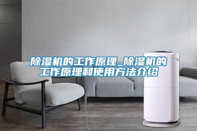 抖音成人版下载的工作原理_抖音成人版下载的工作原理和使用方法介绍