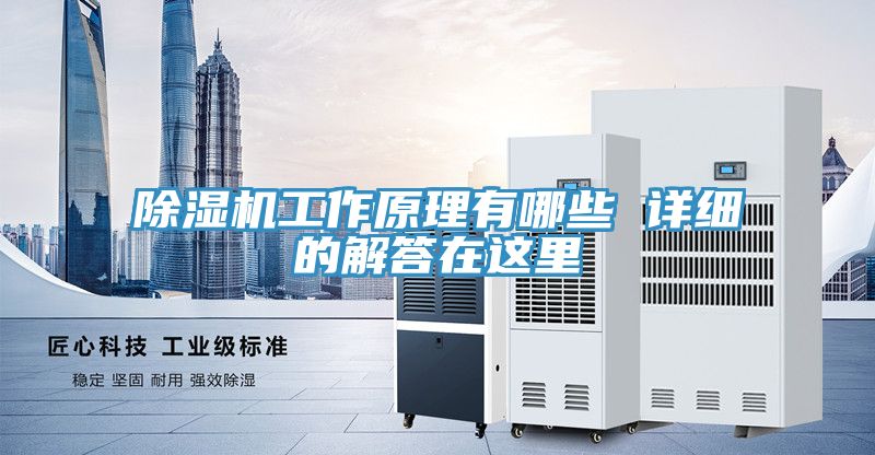 抖音成人版下载工作原理有哪些 详细的解答在这里