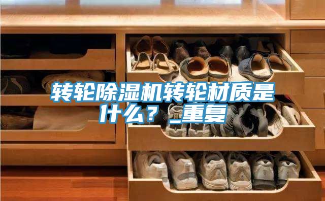 转轮抖音成人版下载转轮材质是什么？_重复