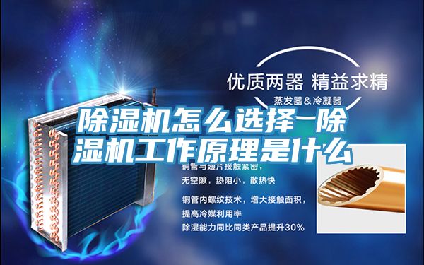 抖音成人版下载怎么选择 抖音成人版下载工作原理是什么