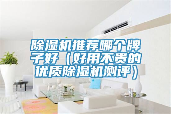 抖音成人版下载推荐哪个牌子好（好用不贵的优质抖音成人版下载测评）