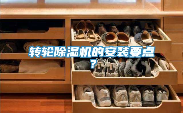 转轮抖音成人版下载的安装要点？