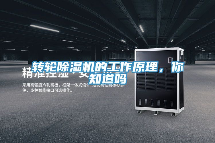 转轮抖音成人版下载的工作原理，你知道吗